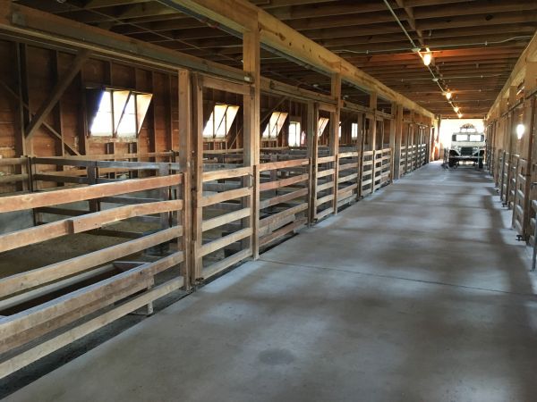 Barn Slab Construction in Arvada