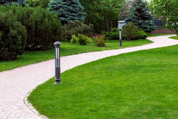 Backyard Sidewalk Installation in Arvada