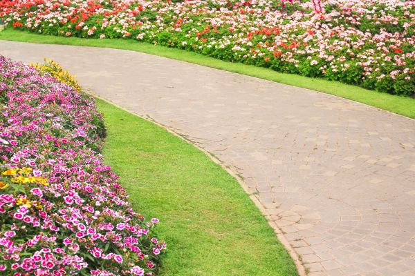 Concrete Walkway Service in Arvada